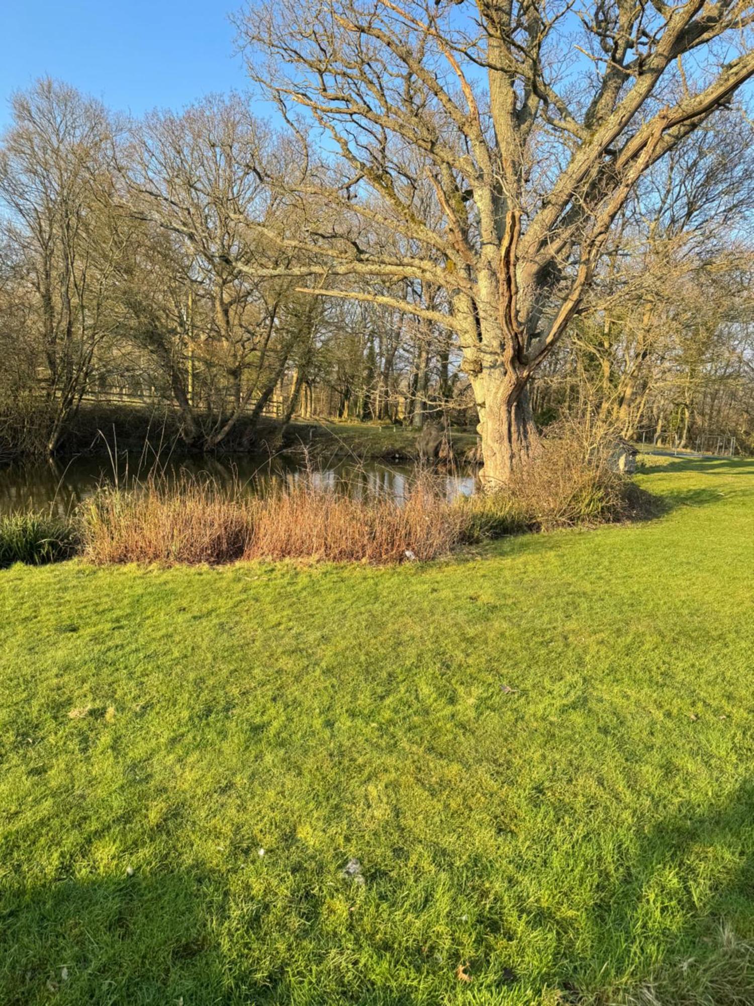Waters Edge Lejlighed Rolvenden Eksteriør billede